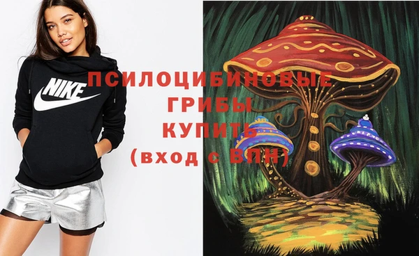 герыч Алексин